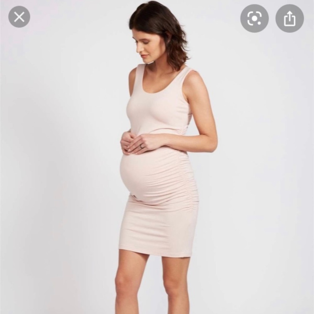 Isabella Oliver Pink Maternity Dress